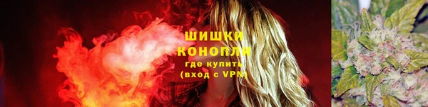 хмурый Богородицк