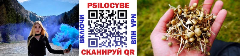 OMG зеркало  наркота  Тверь  Псилоцибиновые грибы MAGIC MUSHROOMS 