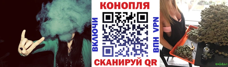 цены наркотик  Тверь  Бошки Шишки гибрид 